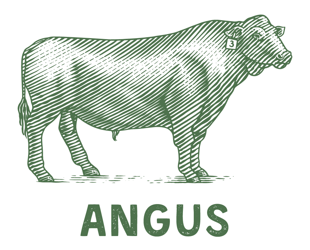 Pasture Raised, Grass Fed & Finished Angus Beef