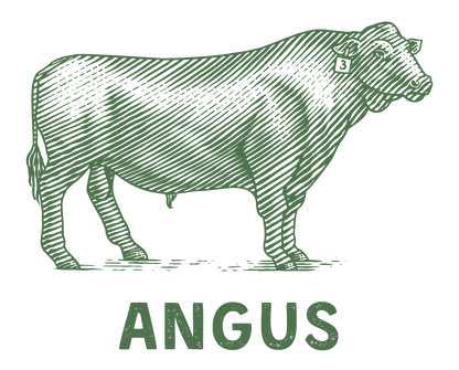 Pasture Raised, Grass Fed & Finished Angus Beef