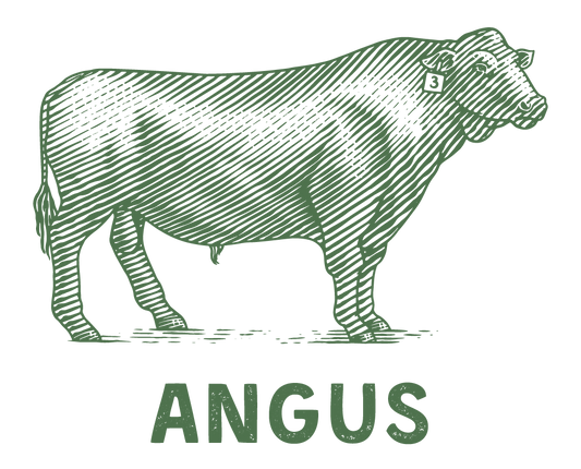 Pasture Raised, Grass Fed & Finished Angus Beef