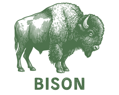 Wild Bison