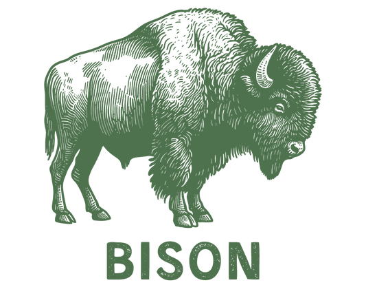 Wild Bison