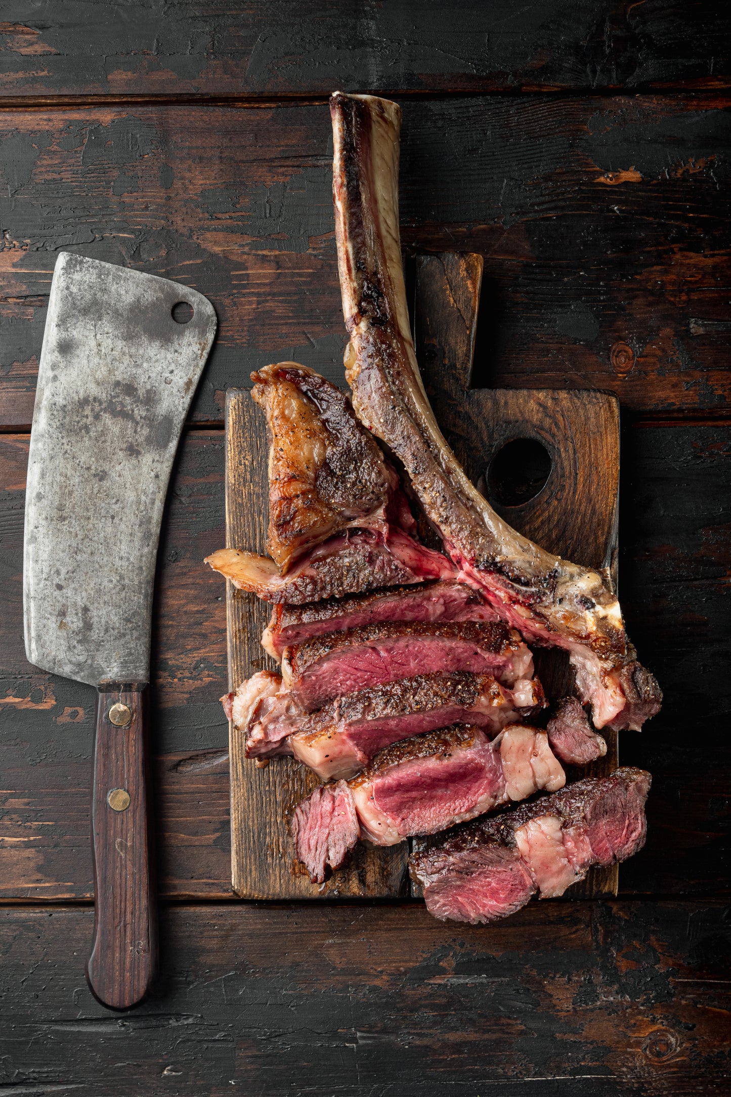 Wild Bison